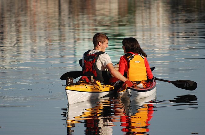 Victoria Harbour Kayak Tour - Seals, eagles, and seaplanes on the route