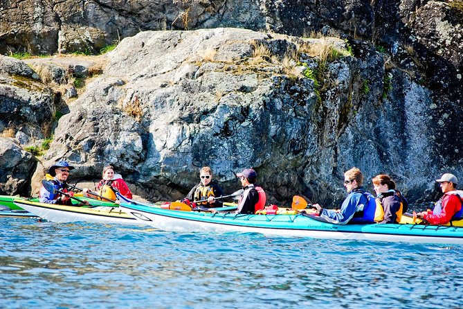 Victoria Harbour Kayak Tour - Learning the basics before leaving the dock