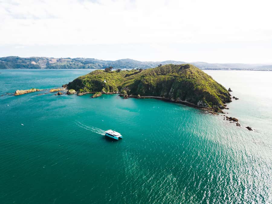 Wellington: Commentated Harbour Explorer tour - Key points to know before you book