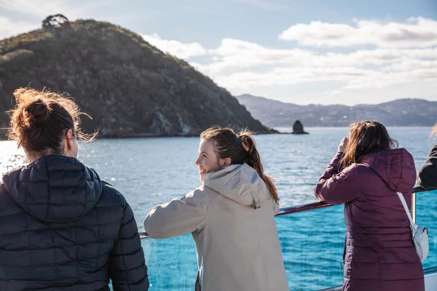 Wellington: Commentated Harbour Explorer tour - What makes the harbour views worthwhile