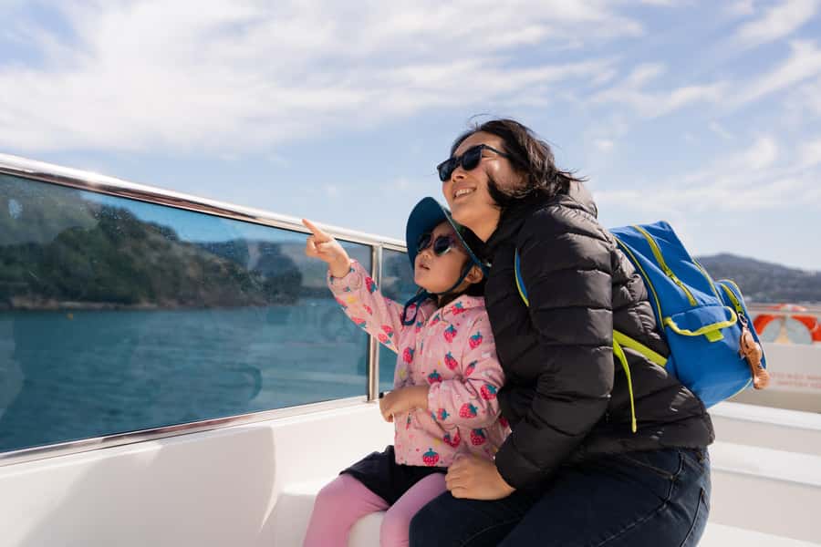 Wellington: Commentated Harbour Explorer tour - The human side of the tour