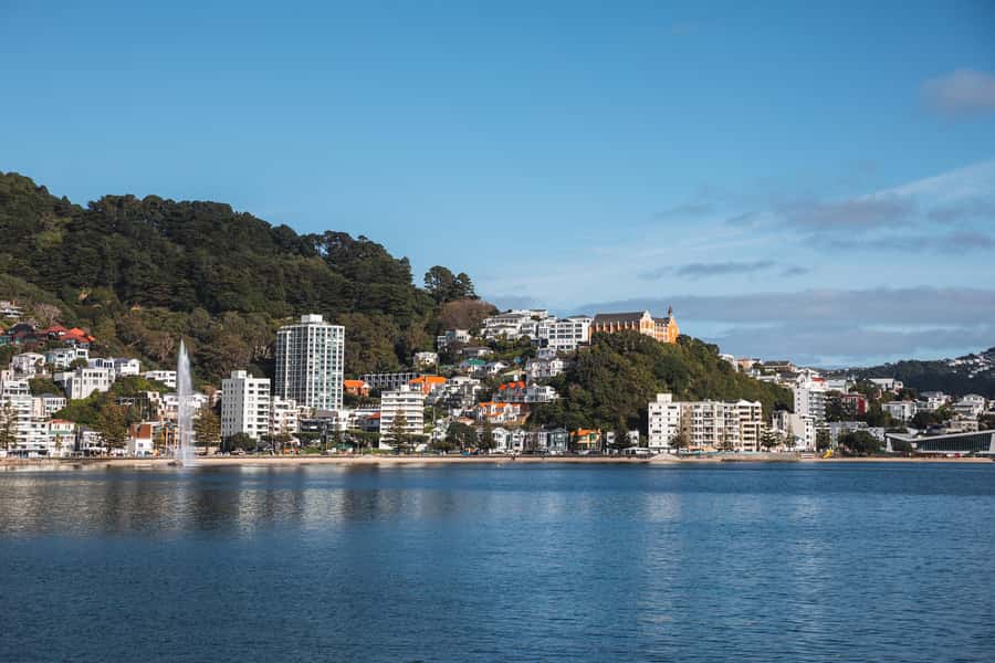 Wellington: Commentated Harbour Explorer tour - Is $41 a fair price?