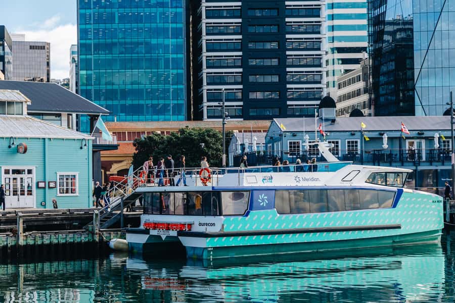Wellington: Commentated Harbour Explorer tour - Practical details that affect your day