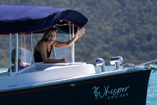 Whisper Cruises - One-Hour Turtle Spotting Bay Cruise - Why a quiet electric boat changes turtle spotting