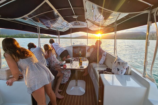 Whisper Cruises - One-Hour Turtle Spotting Bay Cruise - Comfort, weather, and what can affect the sighting