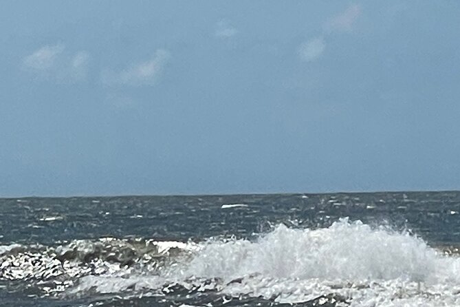 White point Battery and River Run through Charleston Harbor Boat - Heading Toward Fort Sumter and Fort Johnson