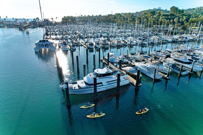 Wildlife Kayak Tour in Santa Barbara Harbor (2 Hours) - Starting at Santa Barbara Harbor
