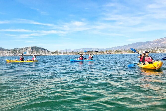 Wildlife Kayak Tour in Santa Barbara Harbor (2 Hours) - Looking for seals, sea lions, and seabirds