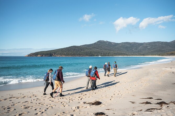 Wineglass Bay Cruise from Coles Bay - Choosing lunch, lounge space, and onboard drinks